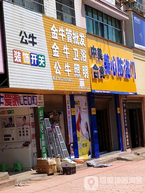 美心防盗门 隆回建材大市场店